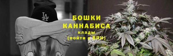 эйфоретик Заводоуковск